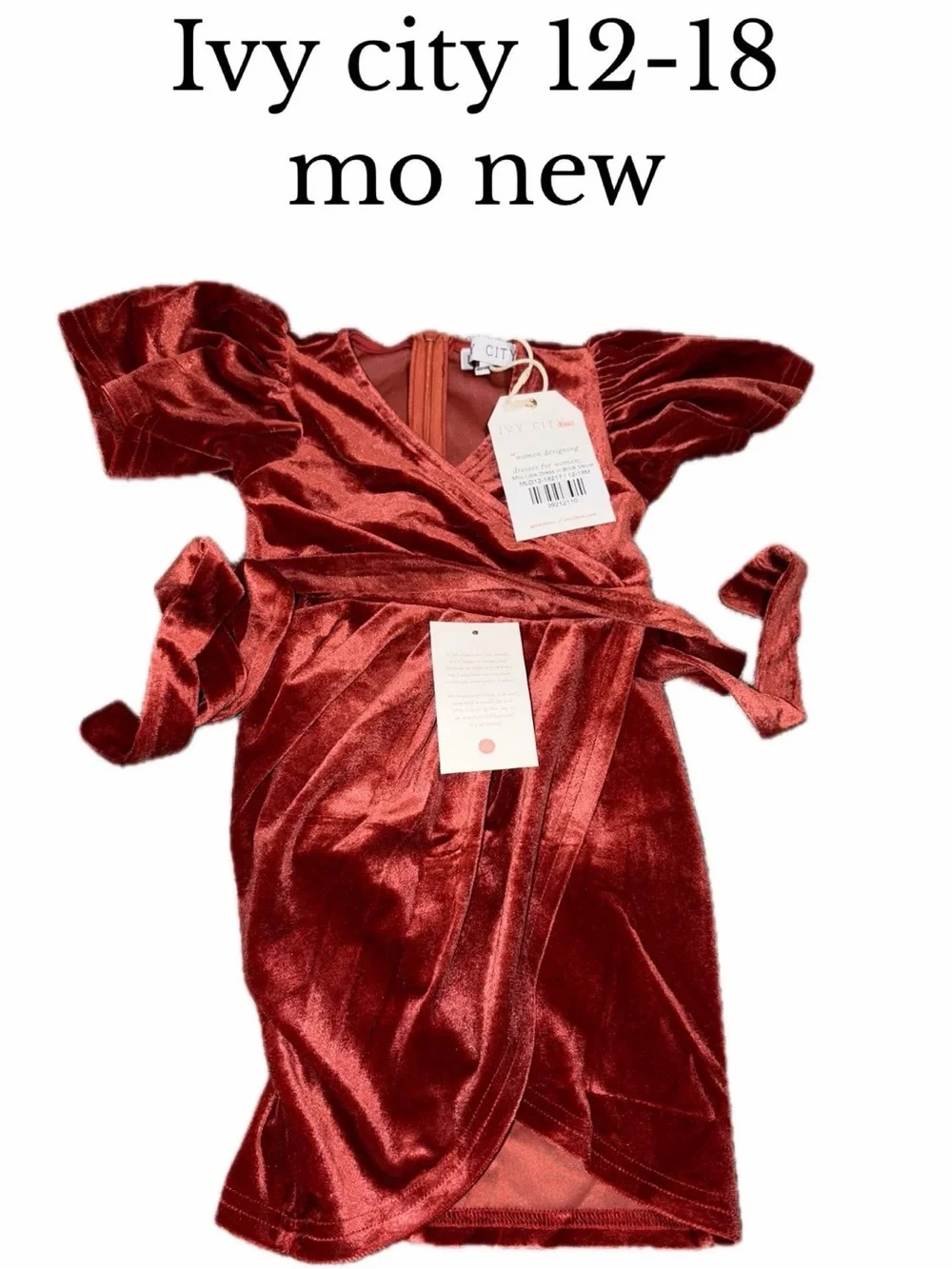 Ivy city mini 12-18 month wine velvet new dress